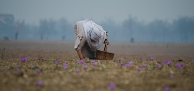 图聚科技